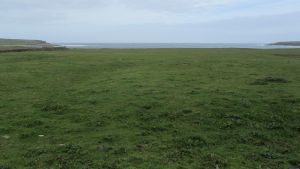 Orkneys