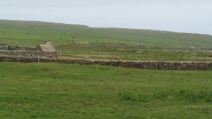 Orkneys
