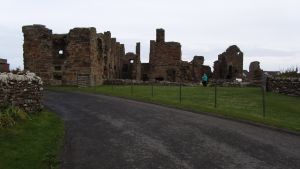 Orkneys