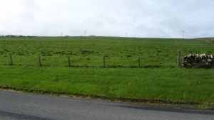 Orkneys