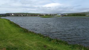Orkneys