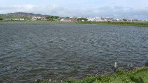 Orkneys