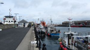 Orkneys