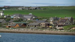 Orkneys