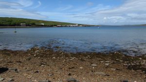 Orkneys