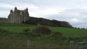 Orkneys