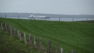 Orkneys