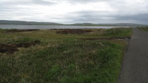 Orkneys