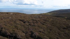 Helmsdale