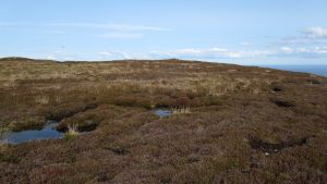Helmsdale