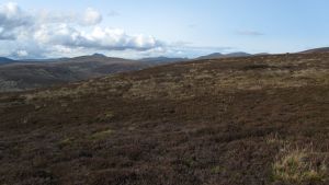 Helmsdale