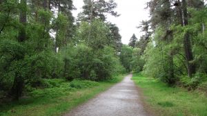 Grantown-on-Spey