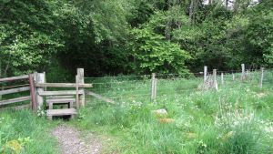 Grantown-on-Spey