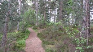 Grantown-on-Spey