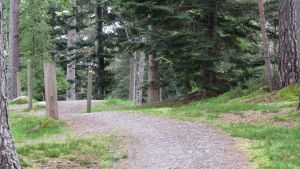 Grantown-on-Spey