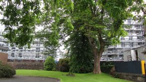 Dumbarton