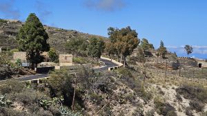Monumento Natural del Barranco de Fasnia y G��mar