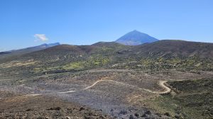 Observatorio Astron�mico del Teide