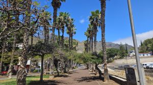 San Andr�s
