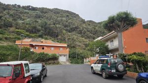Chamorga