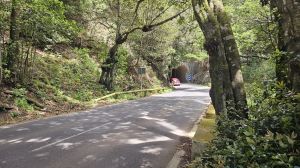 T�nel de Anaga