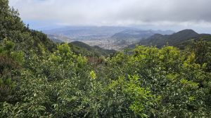 Mirador Cruz del Carmen