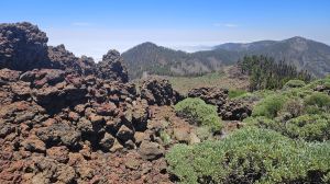 Monta�a de la Negrita, 2245 m.�.M.