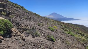Monta�a de la Negrita, 2245 m.�.M.