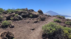 Monta�a de Igueque, 2271 m.�.M.