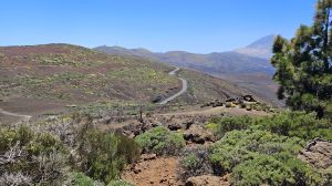 Monta�a de Igueque, 2271 m.�.M.