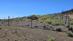 Monta�a de Igueque, 2271 m.�.M.