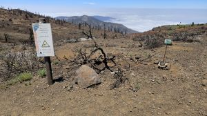 Monta�a de Igueque, 2271 m.�.M.