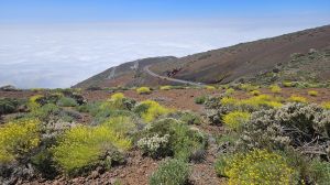 Monta�a de Igueque, 2271 m.�.M.
