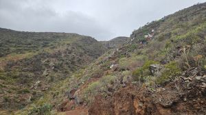 Punta del Hidalgo