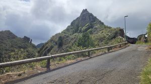 Bejia