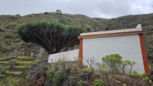 Bat�n de Abajo