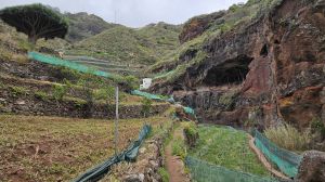Bat�n de Abajo