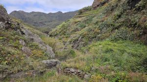 Barranco del Rio