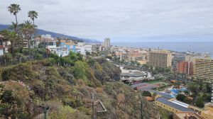 Puerto de la Cruz