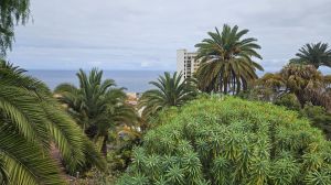 Parque Taoro