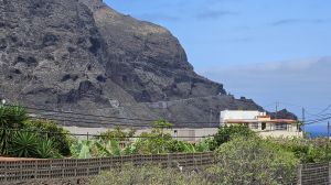 Buenavista del Norte