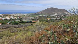 Buenavista del Ntorte