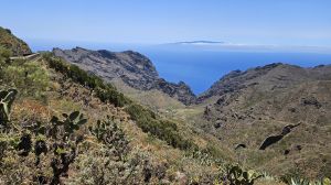 Los Carrizales
