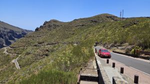 Los Carrizales