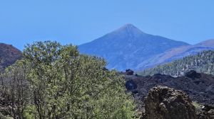 Sendero del Chinyero