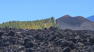 Sendero del Chinyero