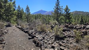 Sendero del Chinyero