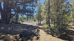 Sendero del Chinyero