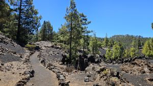 Sendero del Chinyero
