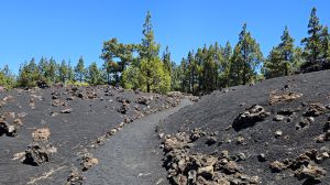 Sendero del Chinyero
